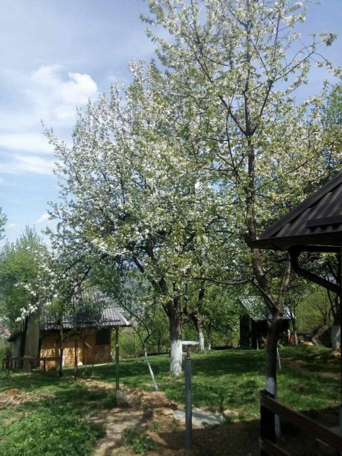 Bungalows Old Town 비소코 외부 사진