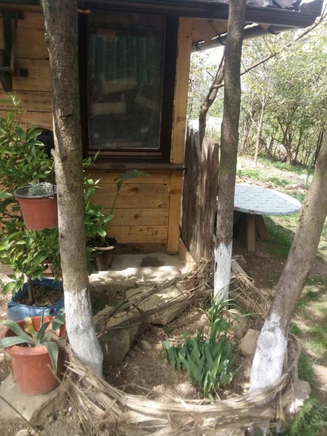 Bungalows Old Town 비소코 외부 사진